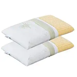 Visco-Kissen Evergreenweb, 2er Set Orthopädisch, 40x80x12 cm
