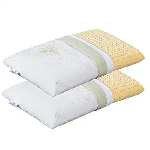 Visco-Kissen Evergreenweb, 2er Set Orthopädisch, 40x80x12 cm