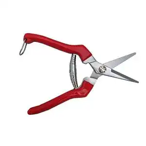 Blumenschere TABOR TOOLS K77E Gerade Gartenschere