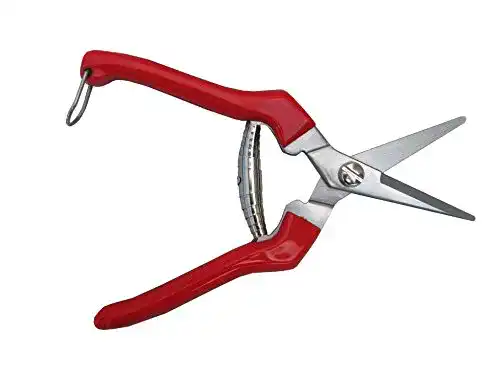 Blumenschere TABOR TOOLS K77E Gerade Gartenschere