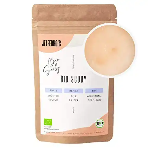 Kombucha-Pilz JETFERRO’S KOMBUCHA Bio Kombucha SCOBY