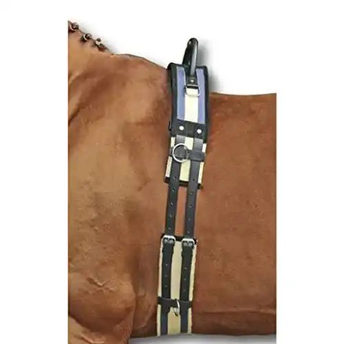 Longiergurt HKM SPORTS EQUIPMENT HKM mit Haltegriff, Pony