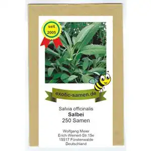 Salbei-Samen exotic-samen Salbei, echter Salbei, 250 Samen