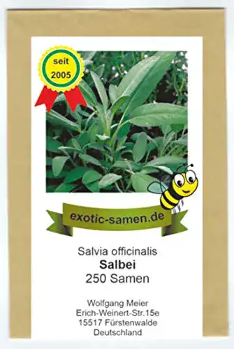 Salbei-Samen exotic-samen Salbei, echter Salbei, 250 Samen