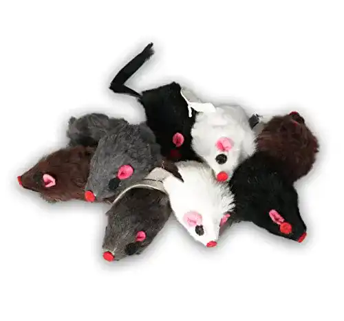Spielmaus Europet Bernina EBI Echtfell-Spielzeugmaus, Set