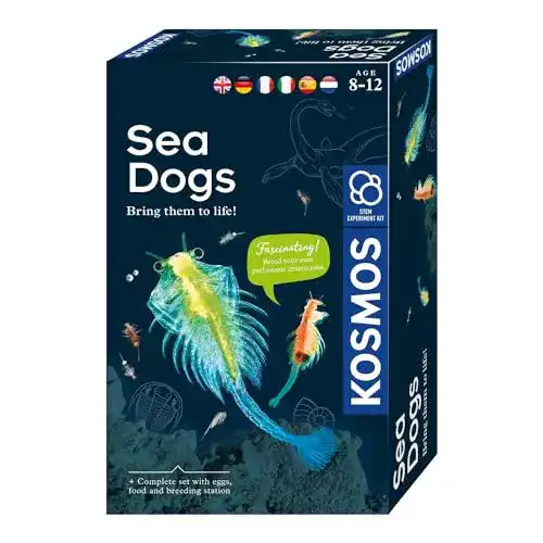Urzeitkrebse Kosmos 616779 Sea Dogs Experimentier Set