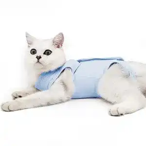 Katzenbody Dotoner, Recovery Body Katze Kleidung, M, blau