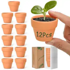 Tontöpfe T4U 5cm Terrakotta Sukkulenten Töpfe 12er-Set