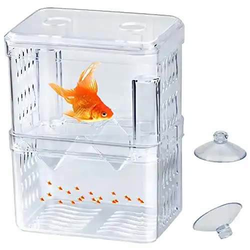 Die beste Fischzuchtbecken NC Aquarium Kunststoff Zucht Isolation Box 2026 Test Bestseller Fischzuchtbecken N\C Aquarium Kunststoff Zucht Isolation Box