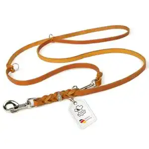 Hundeleine CopcoPet – Fettlederleine, verstellbar, Leder