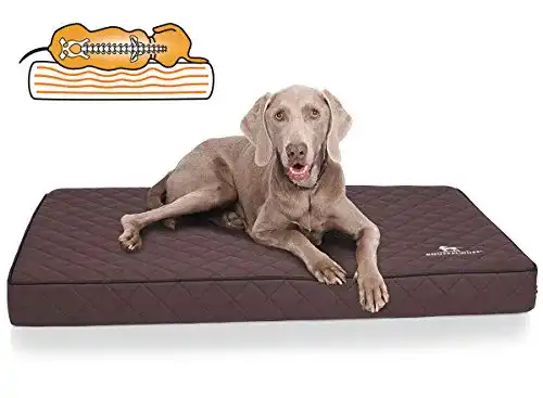 Orthopädisches Hundekissen Knuffelwuff, Kunstleder waschbar