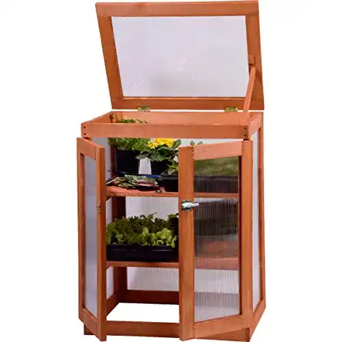 Mini-Gewächshaus dobar ® 29167FSC Mini-Gewächsschrank