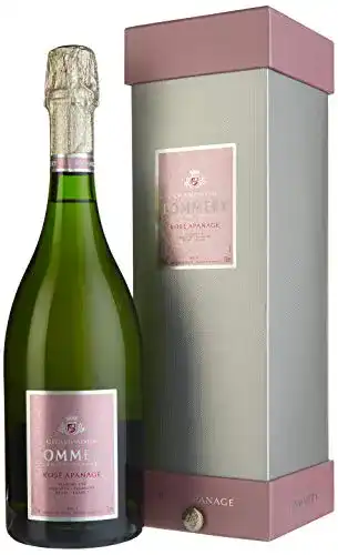 Die beste Pommery Champagner Pommery Champagne Rosé Apanage 2026 Test Bestseller Pommery Champagner Pommery Champagne Rosé Apanage
