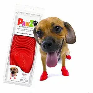 Hundeschuhe PAWZ Small – Durable All Weather Dog Boots