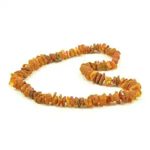Bernstein-Halsband Hund Baltic Amber Land, 20–65 cm