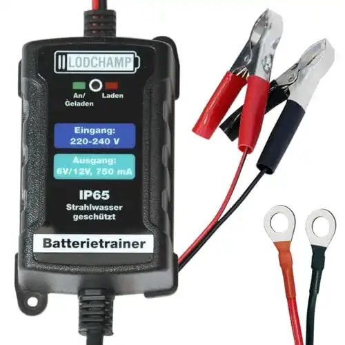 Batteriepulser LODCHAMP Batterietrainer 6V/12V-750mAh IP65