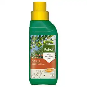 Olivenbaum-Dünger Pokon Zitrus- und Mediterran, 250 ml