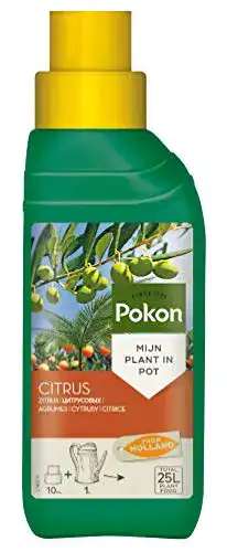 Olivenbaum-Dünger Pokon Zitrus- und Mediterran, 250 ml