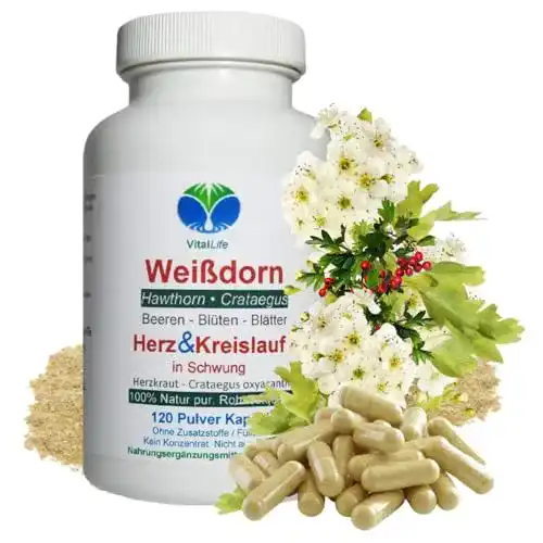 Weißdorn-Kapseln VitalLife WEISSDORN Weißdorn 120 Kapseln