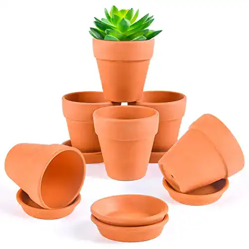 Tontöpfe Ulikey Mini Terrakotta, 6pcs Sukkulenten Töpfe