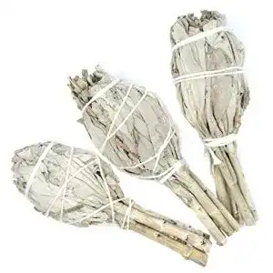 Weißer Salbei farbenwald, 3 Bündel (insg~65g), aus Kalifornien
