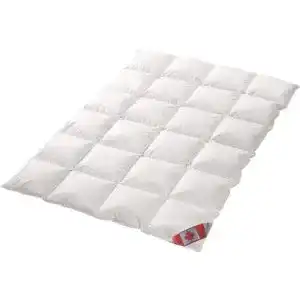 Bettdecke 200 x 220 Schäfer Canadische Daune Übergangsdecke