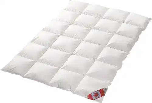 Bettdecke 200 x 220 Schäfer Canadische Daune Übergangsdecke