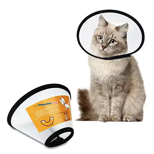Halskrause Katze SenPuSi Halskrause für Haustiere, Größe 7