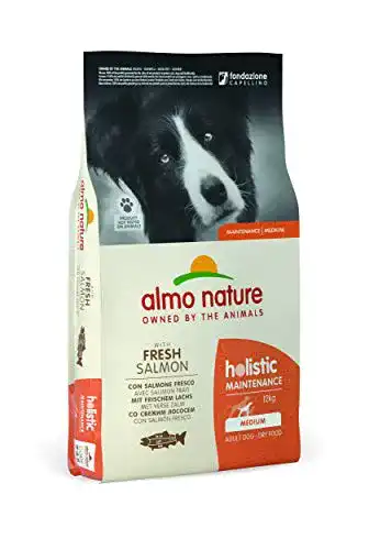 Almo-Nature-Hundefutter almo nature Holistic mit frischem Lachs