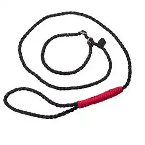 Retrieverleine Golden Pets Paracord I Zugstopp I 1,7m