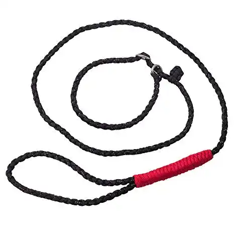Retrieverleine Golden Pets Paracord I Zugstopp I 1,7m