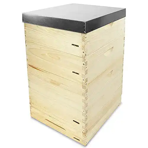 Bienenstock APIFORMES APIFORMERS Dadant 12 US Beute