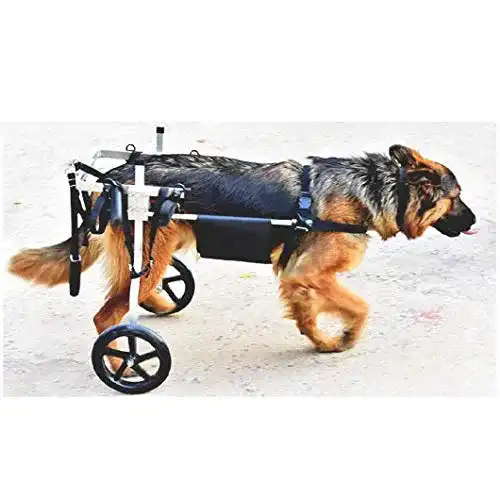 Hunderollstuhl S-AIM für große Hunde, behindertengerecht