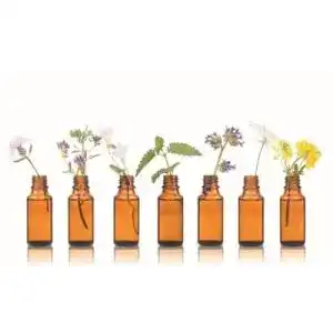 Lavendelöl Dragonspice Naturwaren Mont Blanc, 10ml