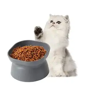 Ergonomischer Futternapf Katze Dehigh Katzennäpfe Gekippt