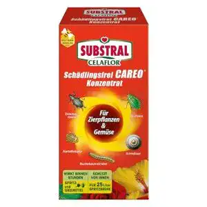 Buchsbaumzünsler-Spritzmittel Celaflor Substral Schädlingsfrei