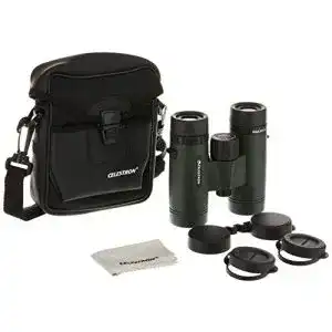 Fernglas 10×32 Celestron 71402 TrailSeeker Fernglas Grün