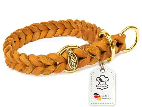 Hundehalsband CopcoPet – Fettlederhalsband geflochten