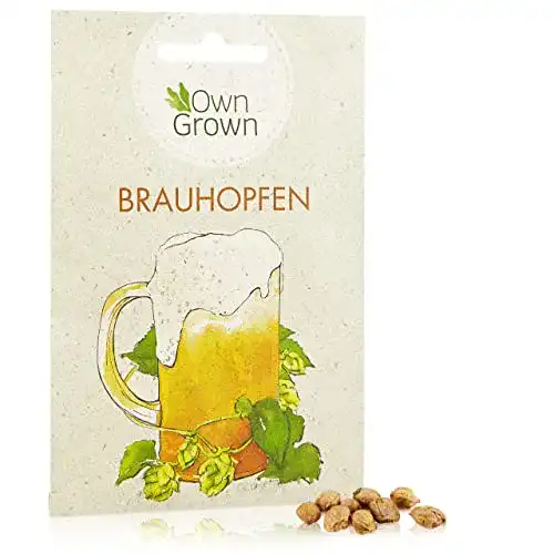 Hopfen-Samen OwnGrown Hopfen Samen: Hopfen Saatgut