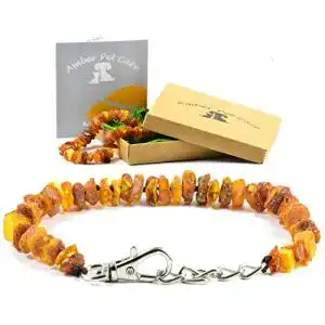 Bernstein-Halsband Hund AmberPetCare mit Metallverschluss
