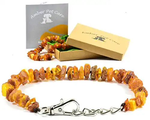 Bernstein-Halsband Hund AmberPetCare mit Metallverschluss