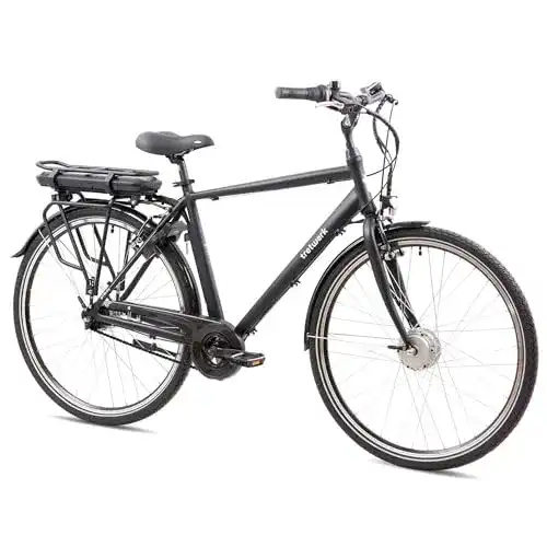 E-Bike Nabenschaltung tretwerk DIREKT gute Räder TRETWERK