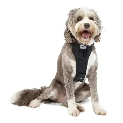 Hundegeschirr Auto Kurgo Enhanced Tru-Fit Smart, Größe: L
