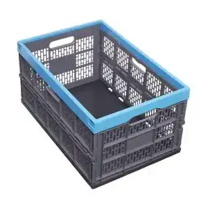 Klappbox Gies 45l, 54 x 36 cm, BPA frei blau-grau