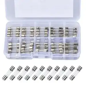 Feinsicherungen Vesaneae 100 Stk Flink, 5x20mm 250V Feinsicherung
