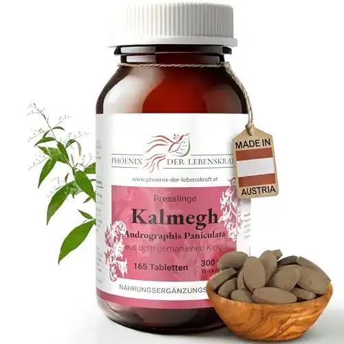 Andrographis Phoenix der Lebenskraft Kalmegh, 300 mg Wirkstoff