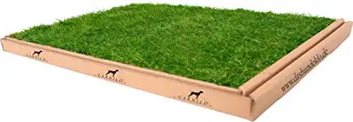 Hundetoilette CARNILO Hundeklo aus echtem Rasen, 60 x 80 cm