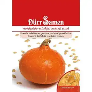 Dürr-Samen Dürr-Samen Dürr Samen 1826 Hokkaido-Kürbis