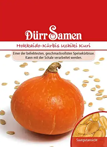 Kürbis-Samen Dürr-Samen Dürr Samen 1826 Hokkaido-Kürbis