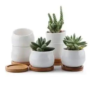 Sukkulenten-Schale T4U 6/7CM Runde Modern Weiß, Keramik, 6er